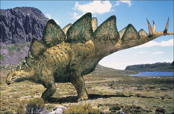 Динозавры стегозавры картинки