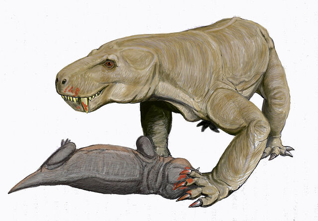 Файл:L. haughtoni, синоним Sycosaurus kingorensis.jpg