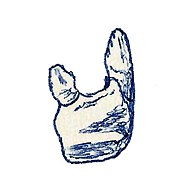 170px-Azendohsaurus laaroussii