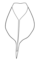 Симония5