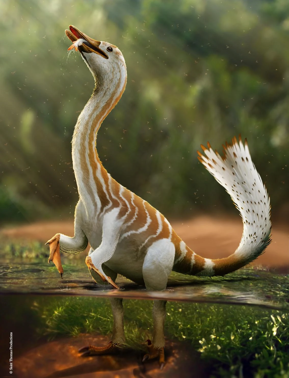 Изображение News reconstruction Halszkaraptor escuilliei Saint Thomas