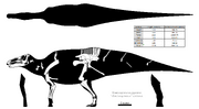 35 shantungosaurus