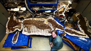 Jørn Hurum and Gamla (Cryopterygius kristiansenae)