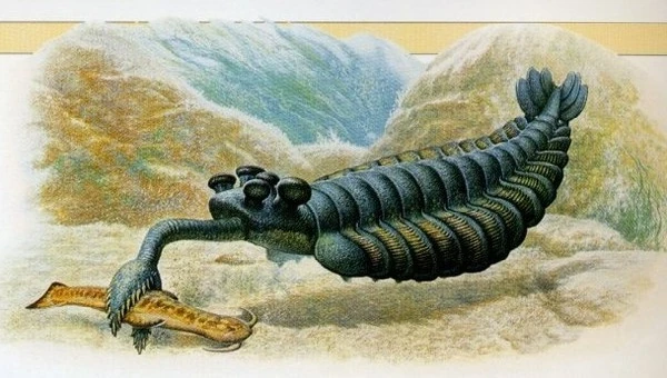 Похожее изображение