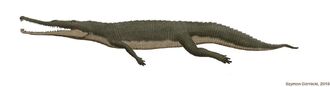 Life reconstruction of Paleorhinus (Szymon Górnicki)