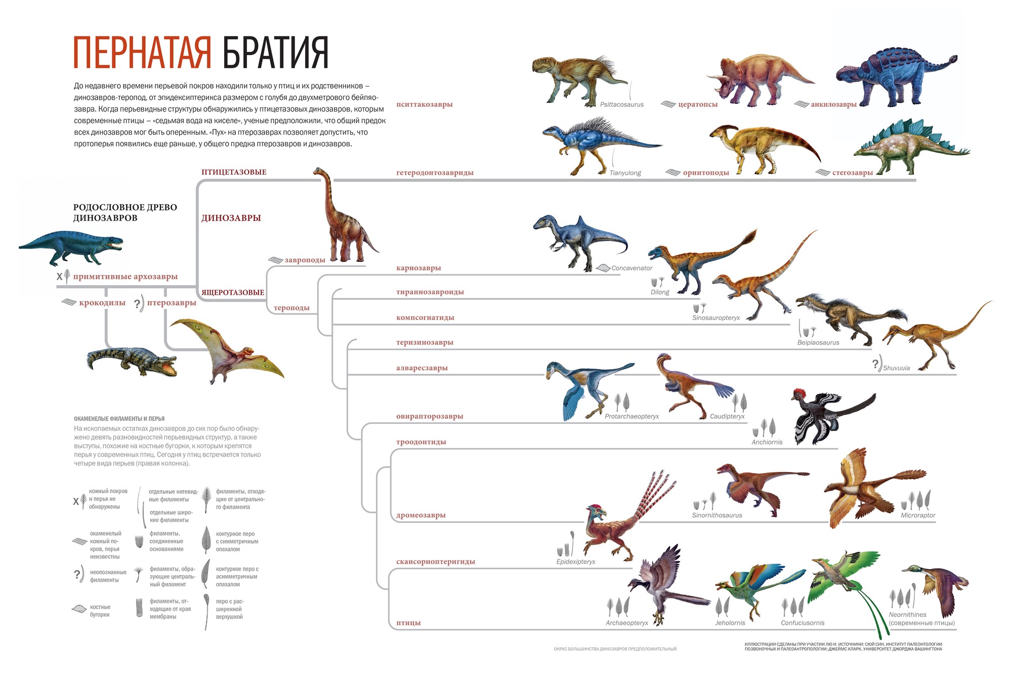 Пернатые динозавры