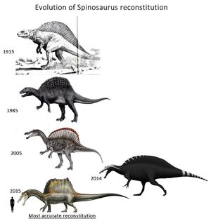 Evolution of Spinosaurus reconstruction