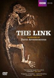 David attenborough the link uncovering
