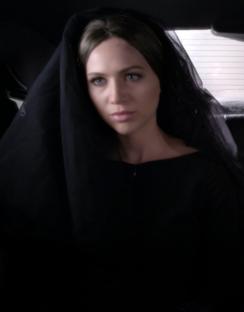 The Black Widow Pretty Little Liars Wiki FANDOM powered by Wikia