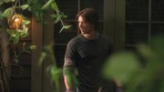 PLL209-00239
