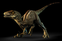 Raptor-render