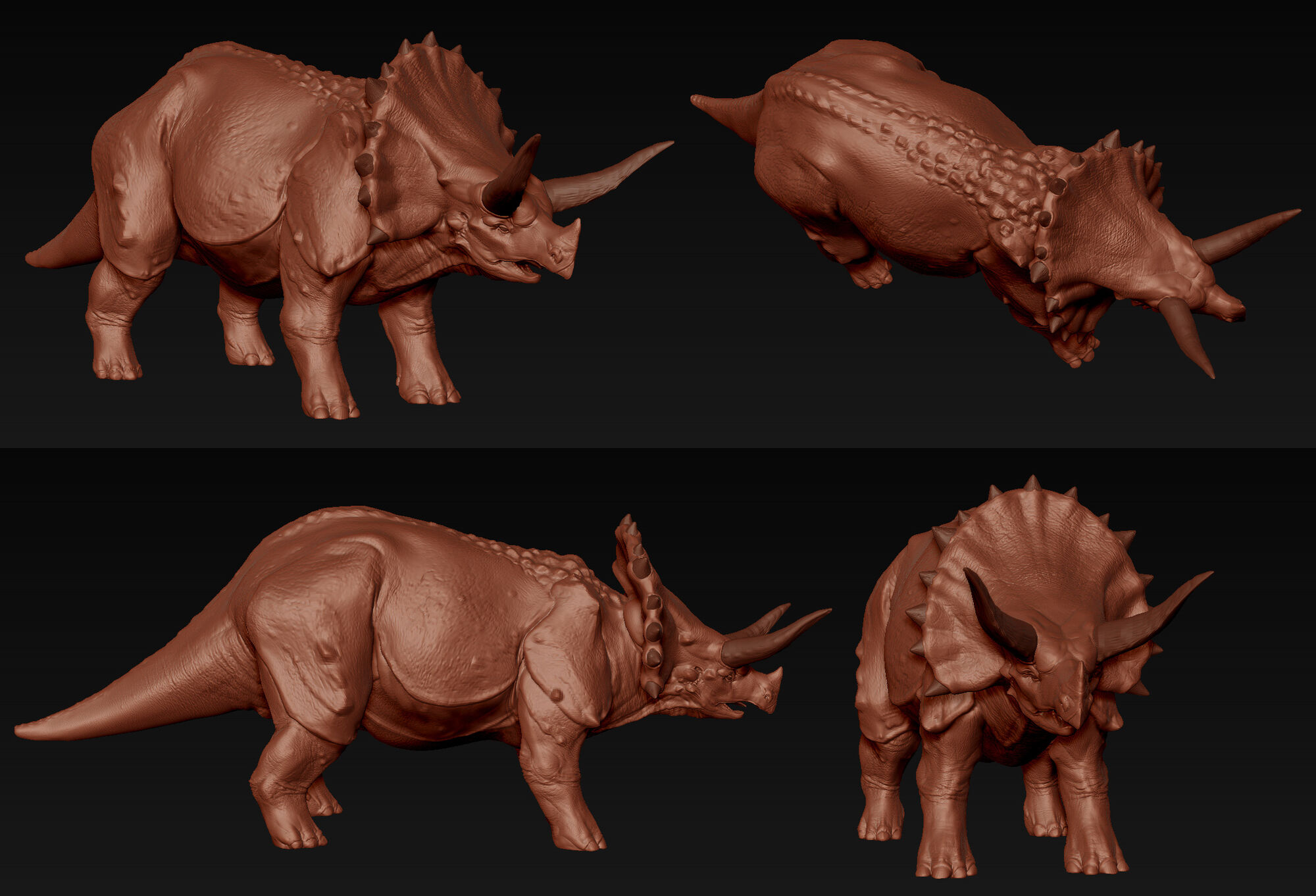 two horned triceratops