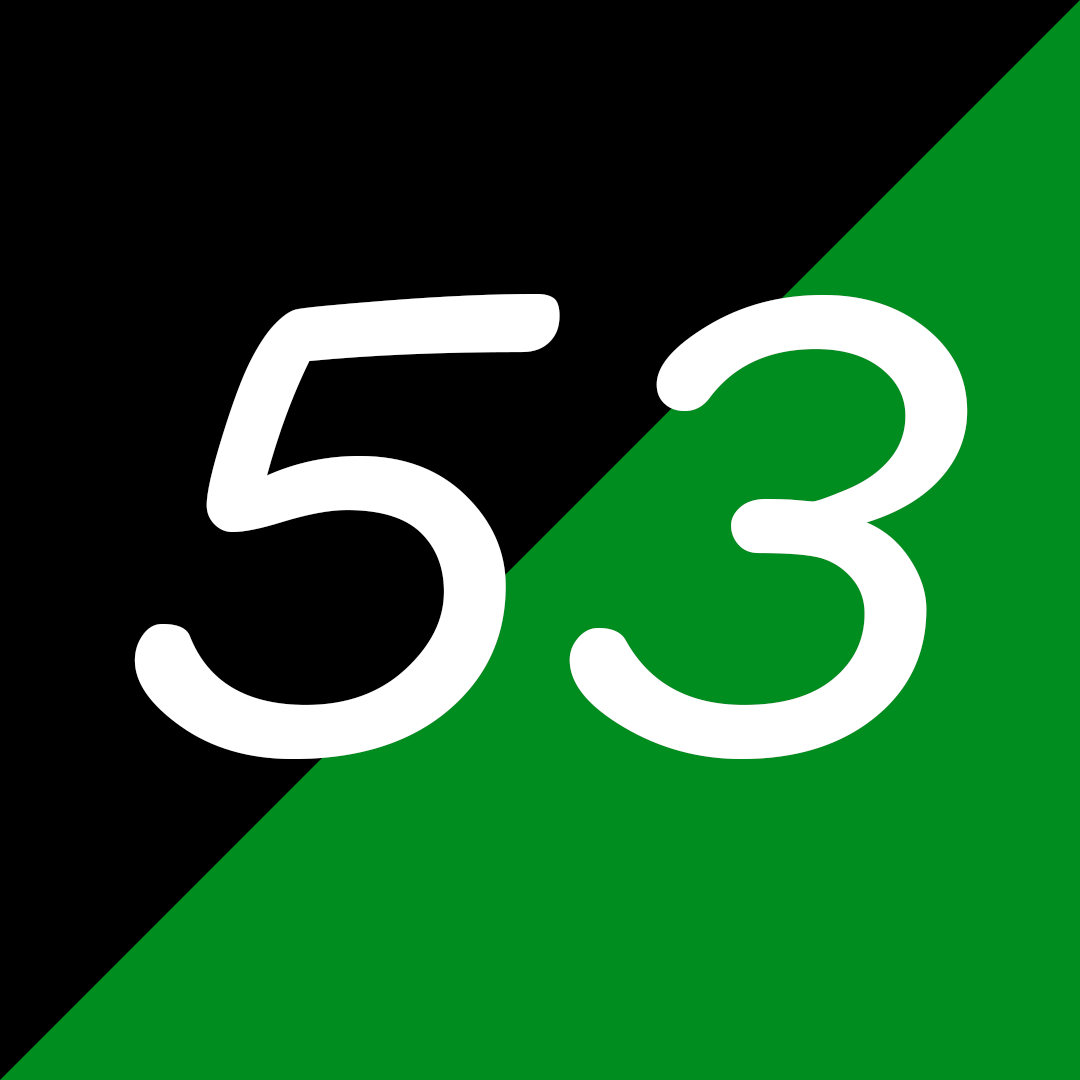 53