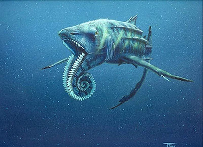 helicoprion toy