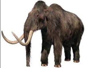 Woolly Mammoth (PAS) | Primeval Fanon Wiki | FANDOM powered by Wikia