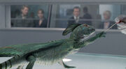 Rex testing-1-