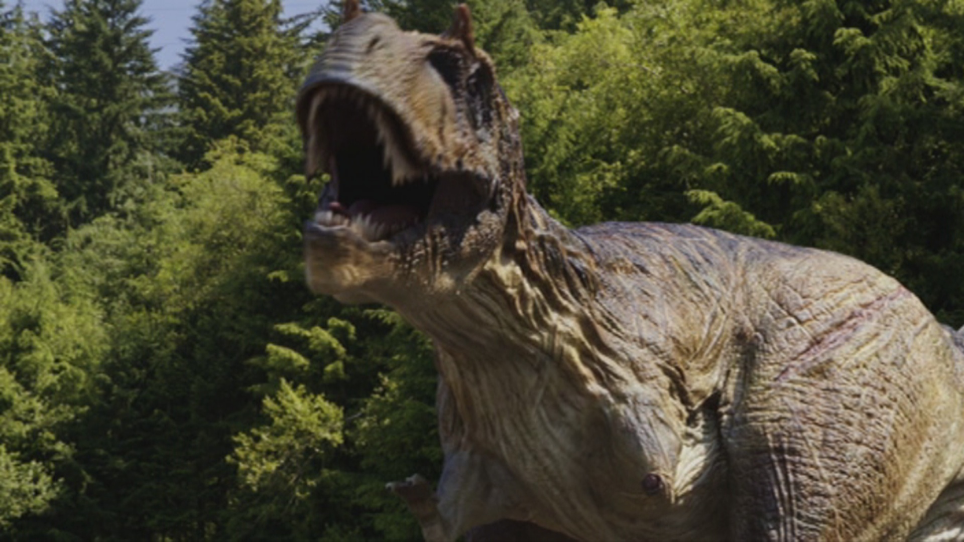 jurassic world alive albertosaurus