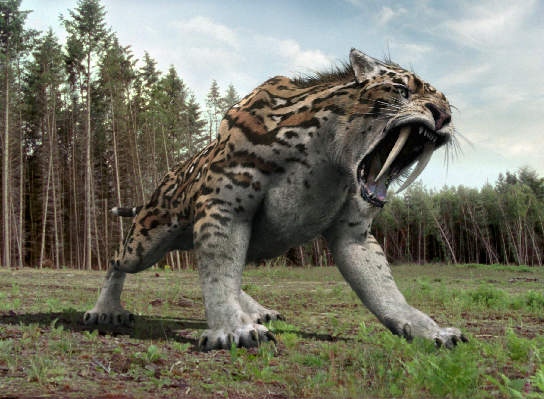 Resultado de imagen de smilodon"