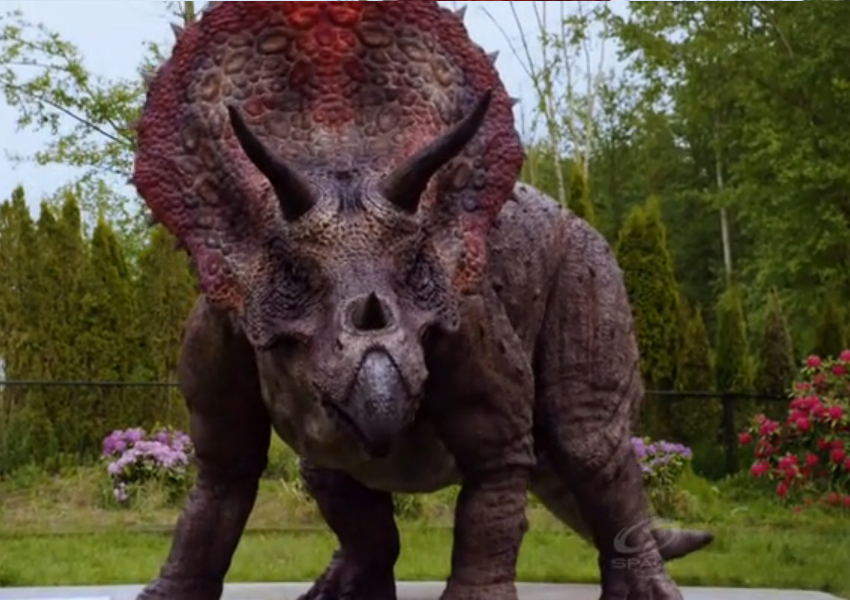 colour of triceratops
