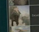 Entelodon primeval