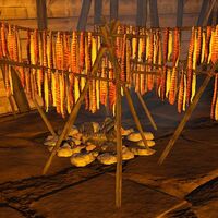 Preserving Campfire Ark Primitive Survival Wikia Fandom