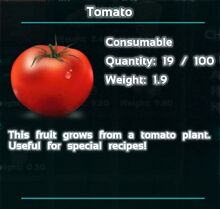 Tomato