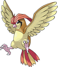 Roblox Pokemon Advanced Pidgey