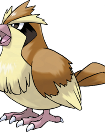 Pidgey Roblox Pokemon Advanced Wikia Fandom - roblox pokemon advanced wiki