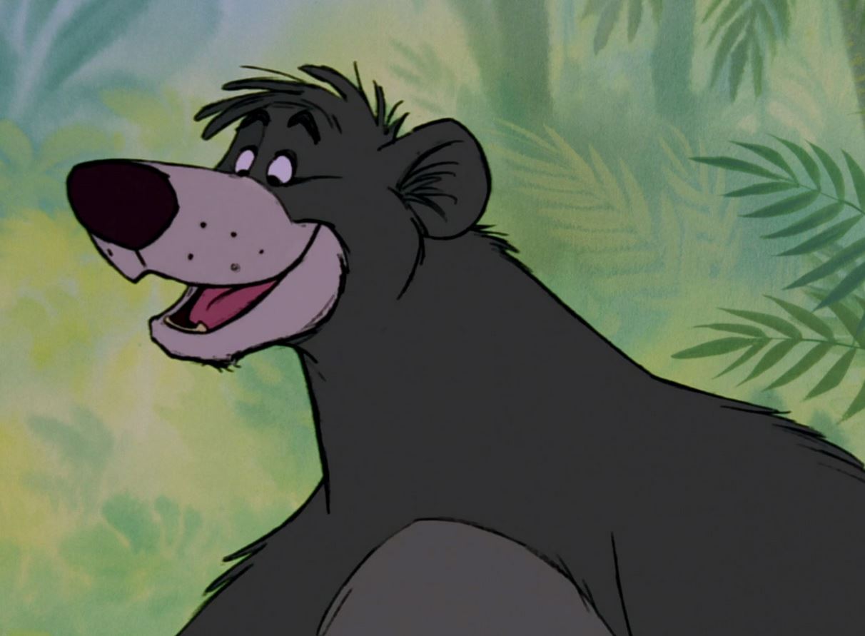 Baloo The Last Sloth Bear | PrinceBalto Wiki | FANDOM powered by Wikia