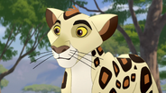 The-trouble-with-galagos (348)