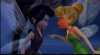 Tink and Vidia