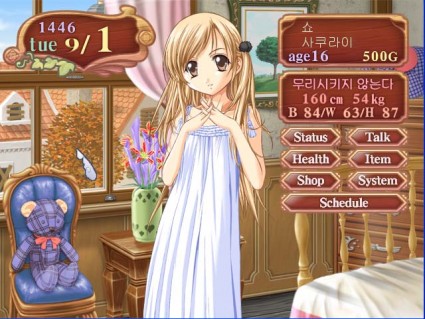 princess maker 2 english patch princess maker 2 english patch