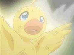 image tumblr m6s9osmtul1r717c6o8 r1 250 gif princess tutu wiki princess tutu duck form