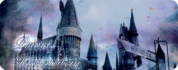 Banner esrgaergaer