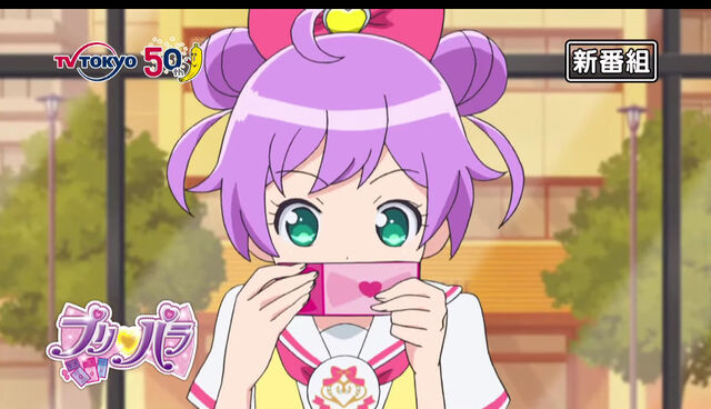 File:PriPara 04.jpeg
