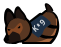 PA Scratching Dog