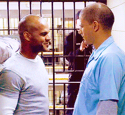 Sucre Scofield 2