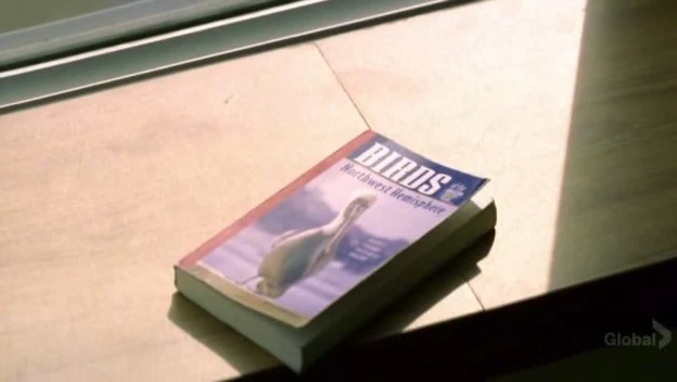 Birds Guidebook | Prison Break Wiki | FANDOM powered by Wikia