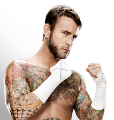 cm punk pro wrestling