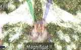 Magnificat