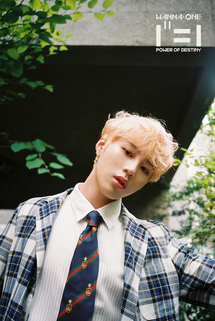 ha sungwoon produce 101 wikia fandom powered by wikia ha sungwoon produce 101 wikia fandom powered by wikia