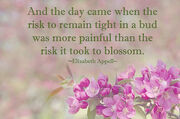 Blossom