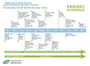 BRFSSandCHSProjectScheduleWeb