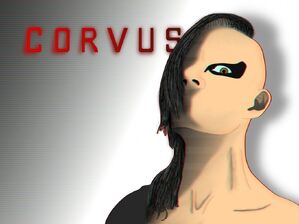Corvus