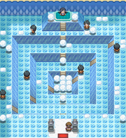 Snowpoint Gym DP