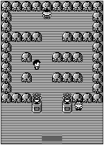 Pewter Gym