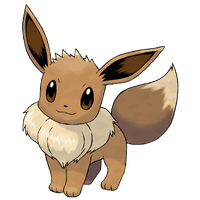 Eevee Project Pokemon Wiki Fandom