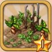 Gardnerthumb