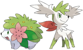 Shaymin  Pokemon Wiki  Fandom