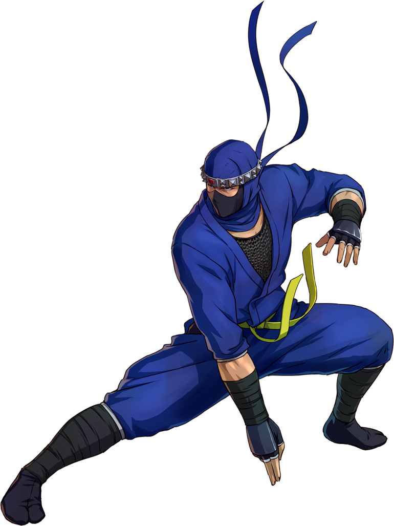 kage ninja gear